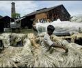 Strikes, lockouts haunt Bengal jute industry