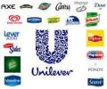 Unilever open offer for HUL subscribed 66%