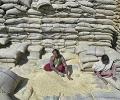 Assam ready to implement food security ordinance in 6 months