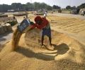 India to not compromises on food security at WTO talks