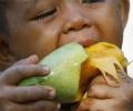 Mango import ban: EU to send high-powered delegation to India