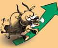 Bulls on a rampage; Sensex, Nifty end at record highs