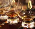 Whisky waste could be fuel of the future