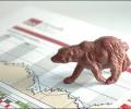 'Bear market' reviving in Google searches