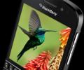 BlackBerry doesn't consider Xiaomi, Obi as competitors