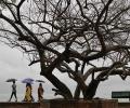 Monsoon hits Kerala, 1 dead due to heavy rains