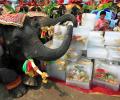 Can Indian elephant take on Chinese dragon? 'Not in the next 20 years'