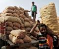 Economic Survey pegs growth rate at over 8%