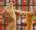 Noodle makers claw back with new launches