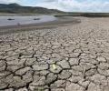 Expect worst drought in Asia, India may be hit