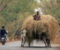 IMF flags decelerating pace of reforms in India