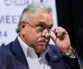 ED mulling options against Mallya