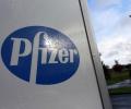 HC grants Pfizer temporary relief on cough syrup ban