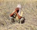 Not just rich farmers, even agri cos with Rs 215 cr profit pay no tax