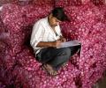 Farmer earns Re 1 after selling one tonne of onions!