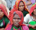 Tribal eviction: 'SC order a setback for conservation in India'