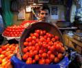 Tomato prices likely to rise by 5-10%