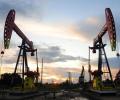 Newbies dream to become oil barons in limbo