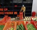 Looking to go omnichannel, BigBasket may seal deal with Tatas