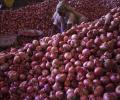 India to import 25,000 tonnes onion before Diwali: Goyal