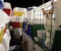 Akasa Air to allow pets in cabin, cargo from Nov