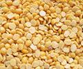 Why govt is importing about 10 lakh tonnes tur dal