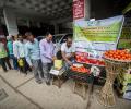 Average tomato prices in Delhi drop to Rs 150 per kg