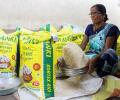 20% export duty woes: Parboiled rice exports fall over 80% in a month