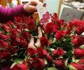 Valentine's week: E-com giants record high demand for roses, chocolates