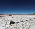 Why India Is Buying 5 Argentine Lithium Mines