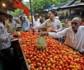 Retail tomato prices drop 22.4% on improved supplies