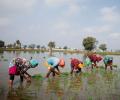 Bumper kharif production to lower food inflation in coming months: FinMin