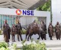 NSE Bull Gets A Human Family