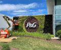 Margin woes, valuations to weigh on P&G Hygiene