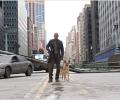 I Am Legend is believable