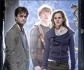 Why you won't see latest Harry Potter in 3-D