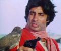 Quiz: Name Amitabh's falcon in Coolie