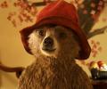 Review: Paddington is a must-watch