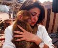 Jacqueline finds love on the sets of Dhishoom