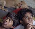 Review: Kaaka Muttai is brilliant