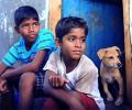 Karan Johar: Kaakka Muttai is a gem