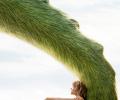 Review: Pete's Dragon is a mellow, charming ride