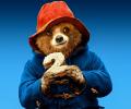 Paddington 2 Review: Sweet, snuggly sequel!