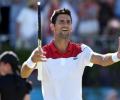 No limits says Djokovic after reaching 800 wins milestone