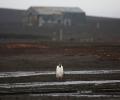 Antarctica in photos: What the end of the world looks like