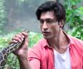 Junglee Review: Gimmicky affair