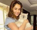 Met Disha and Alia's pets?