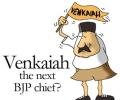 Venkaiah the next BJP chief?