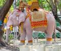 Elusive white elephant may shape Myanmar's future