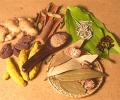 'Ayurveda needs more evidence-based approach'